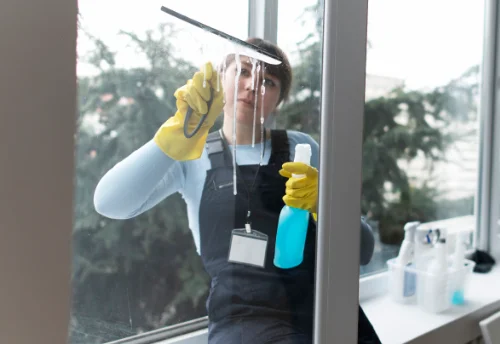 Nettoyage de vitres intérieures et extérieures à Chamesol